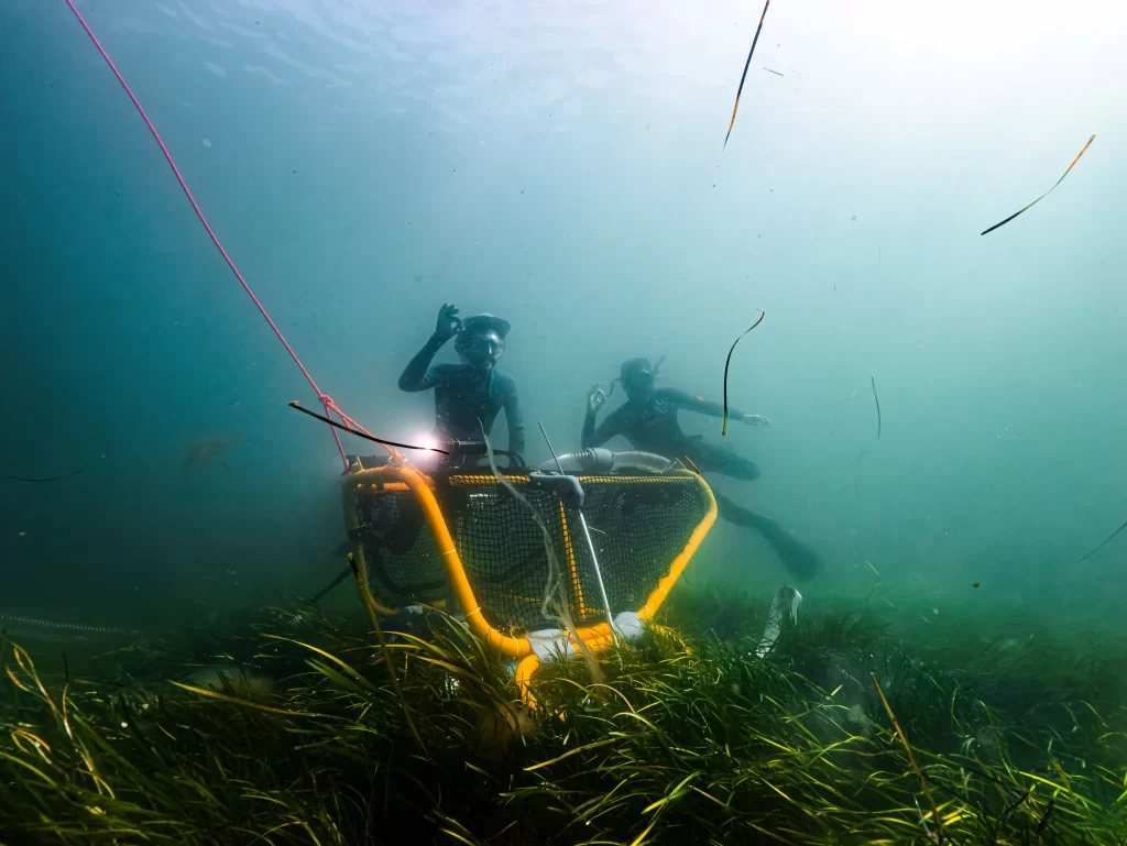 Inventors Sam Rogers and Ed Towler unveil an underwater "lawn mower" to collect seagrass seed pods, helping restore vital marine habitats. Crowdfunding nearly 75% funded.