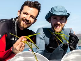 Inventors Sam Rogers and Ed Towler unveil an underwater "lawn mower" to collect seagrass seed pods, helping restore vital marine habitats. Crowdfunding nearly 75% funded.