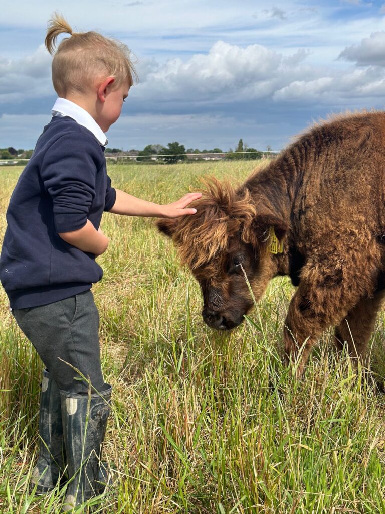 Police officer quits £67k job to save family farm - Chad Stevens and wife Lucy leave careers for rural life with kids, despite financial struggles and uncertainty